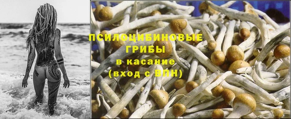 mdpv Арсеньев
