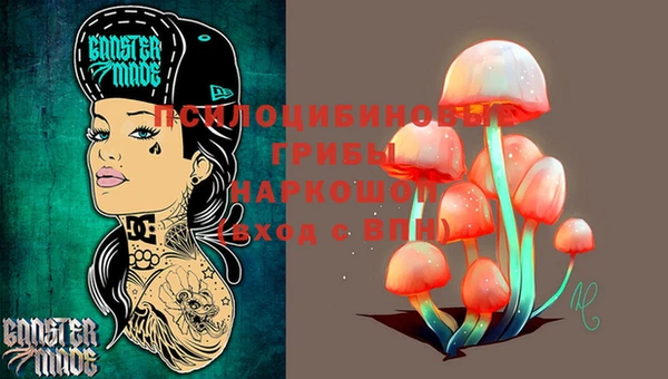 мяу мяу мука Горняк